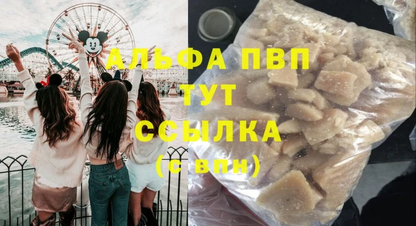 твердый Корсаков