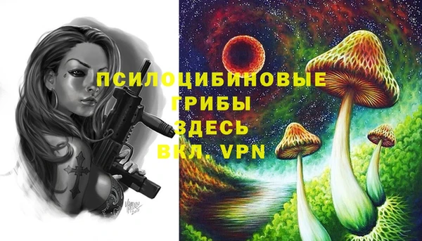 ALPHA-PVP Костерёво